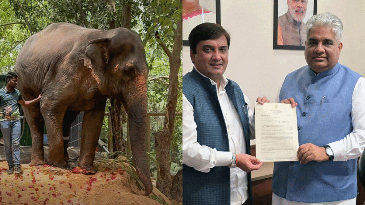 महादेवी परत येणार! धनंजय महाडिक केंद्रीय वनमंत्री भूपेंद्र यादव यांच्या भेटीला